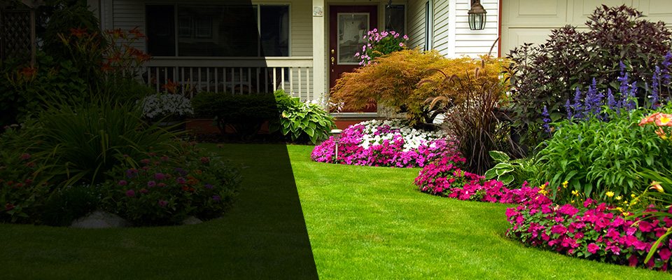 Manchaca Landscapers