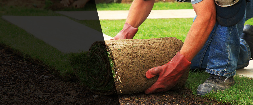 Manchaca Landscapers
